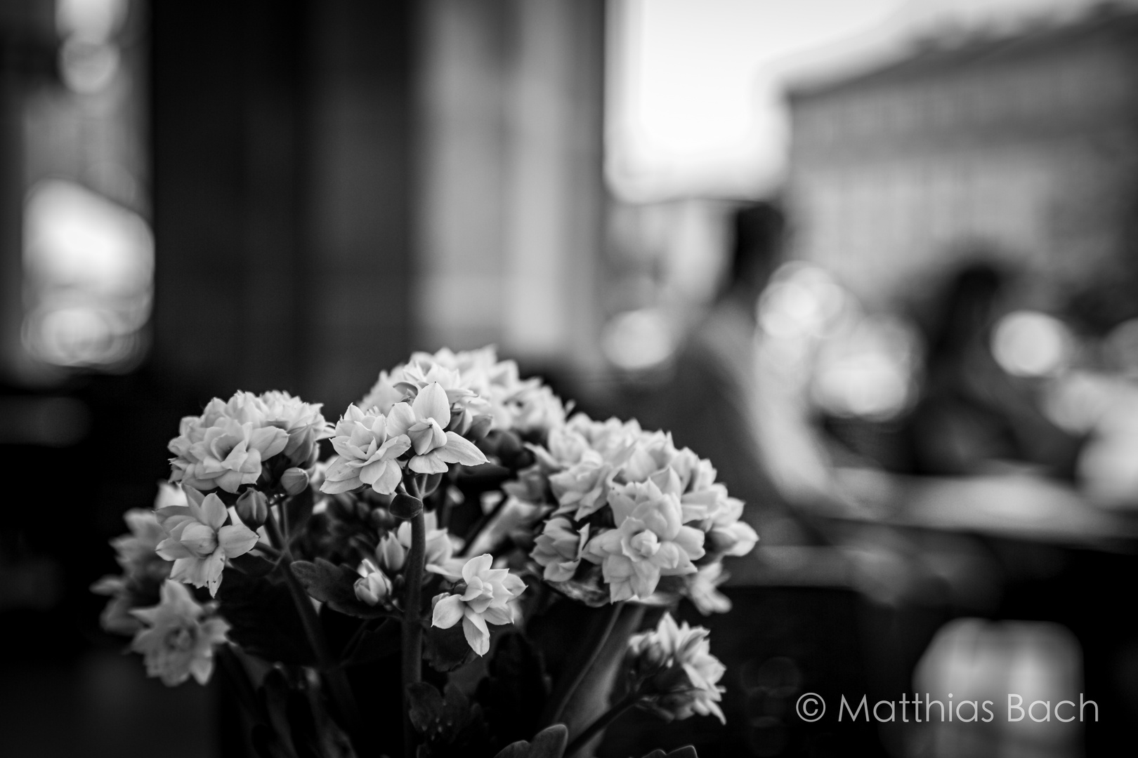 Cafe in Krakau