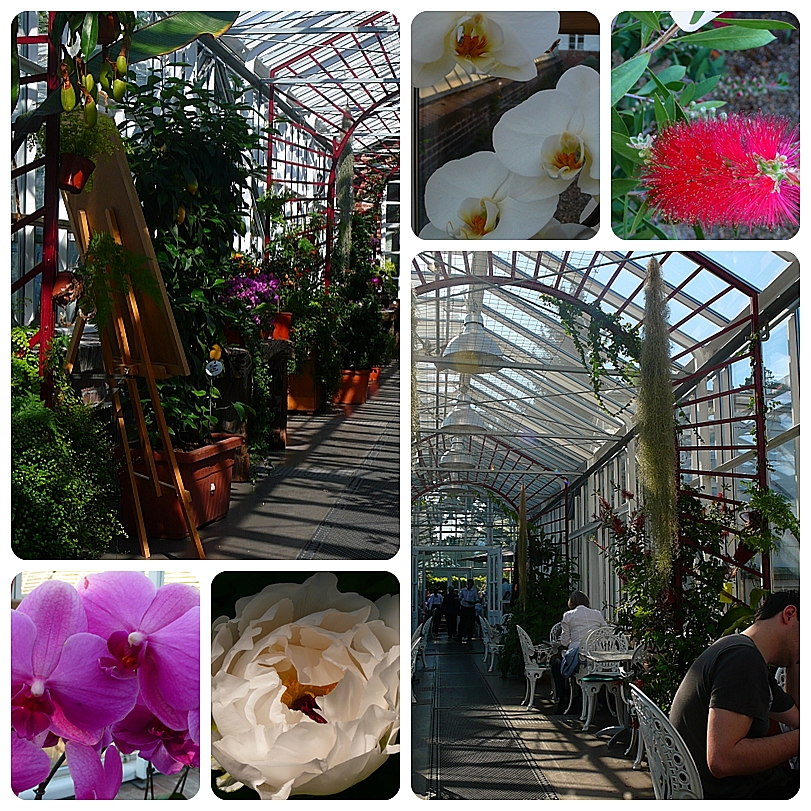 Café Lenné Botanischer Garten Berlin Foto & Bild