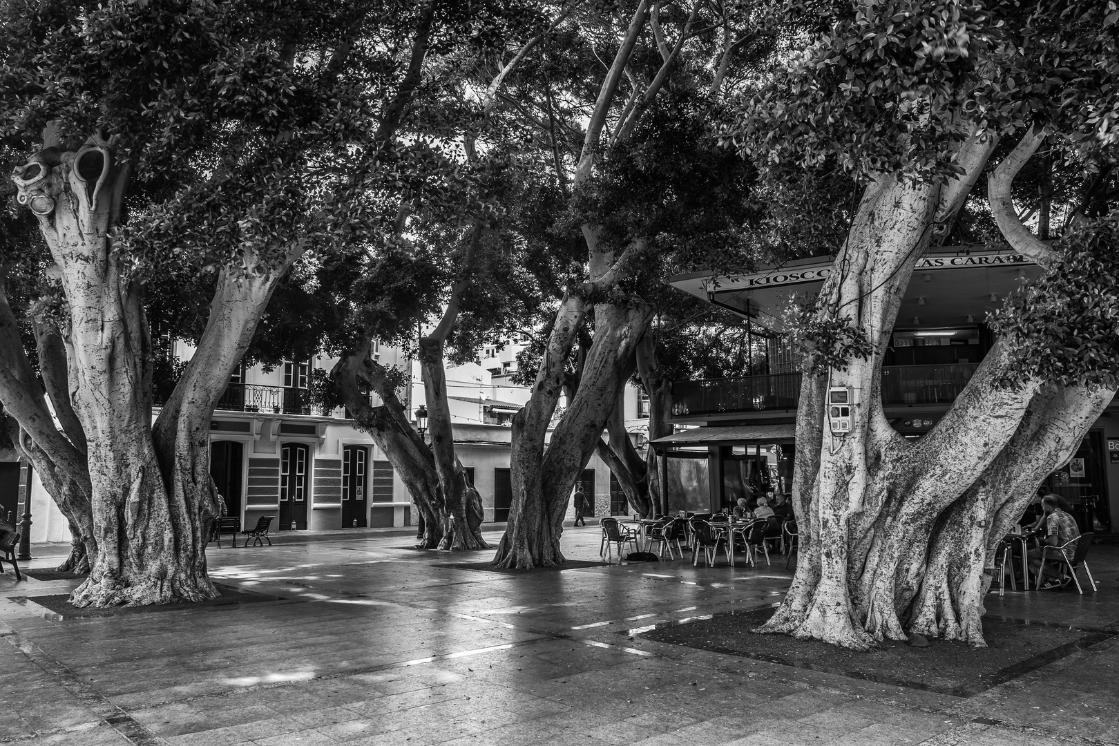 Cafe unter Bäumen