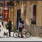 Cagliari 2016:  affari di famiglia