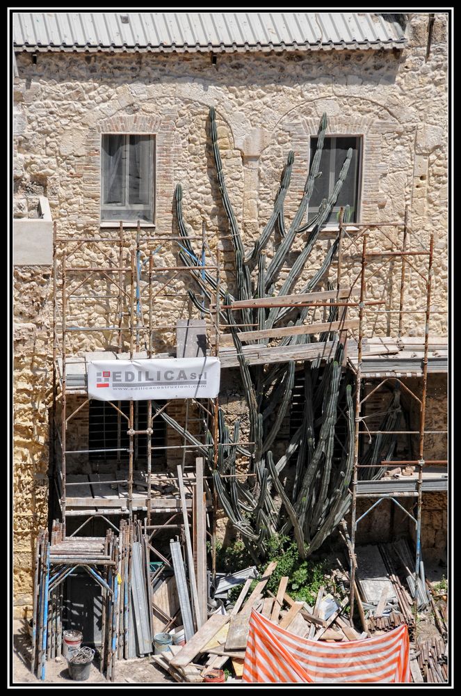 Cagliari 2016:  conservare l'ambiente