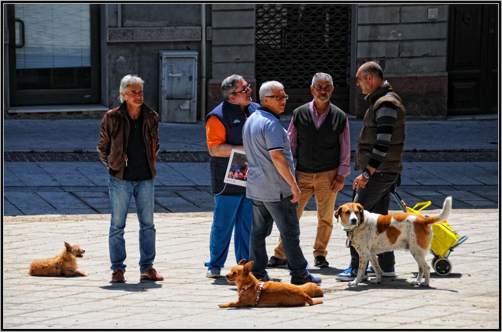 Cagliari 2016:  incontro con cani