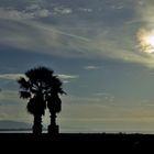 Cagliari - Al poetto una mattina