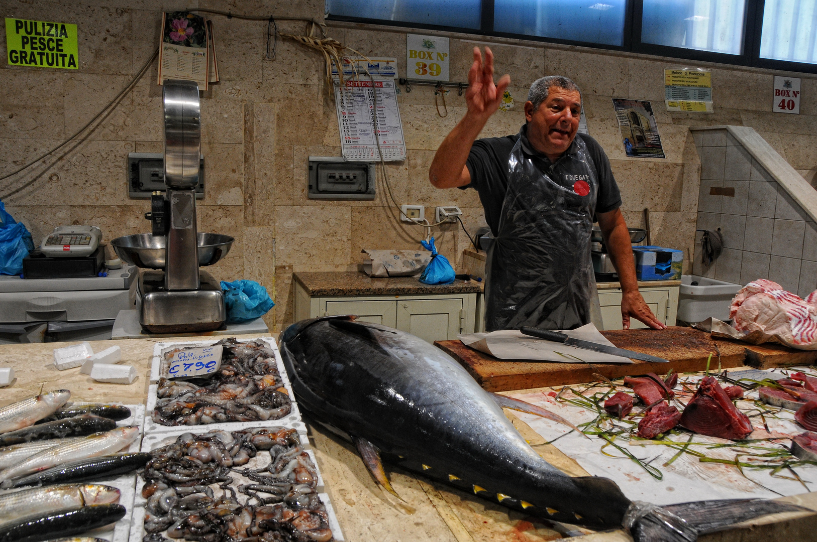 Cagliari - Fischmarkt