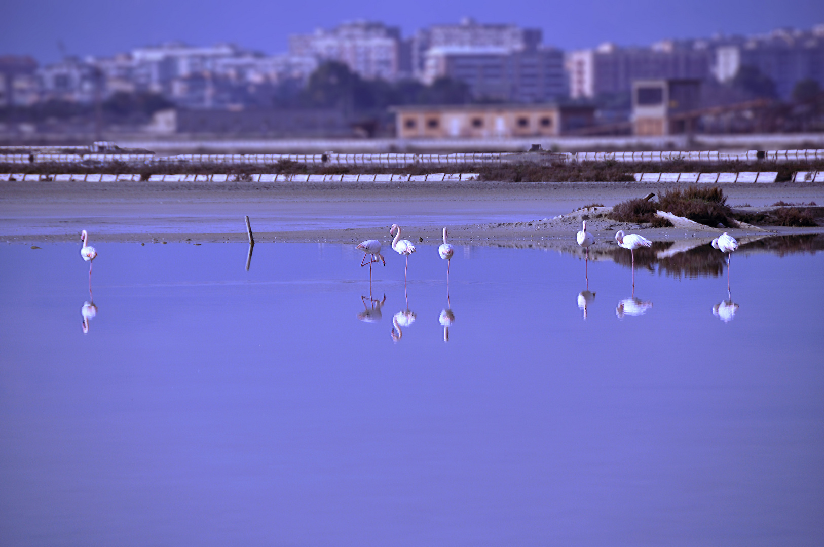 Cagliari Saline 3