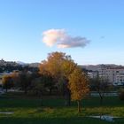 Cagnes sur Mer après la pluie, un 1er décembre 2008