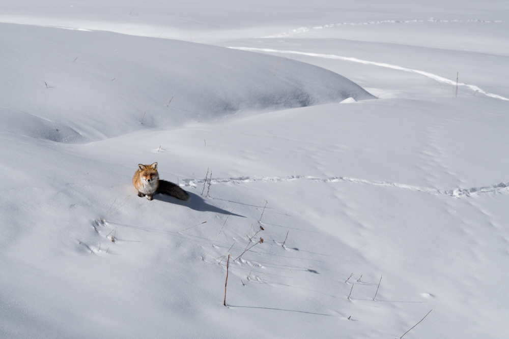 Cahier  d' hiver