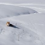 Cahier  d' hiver