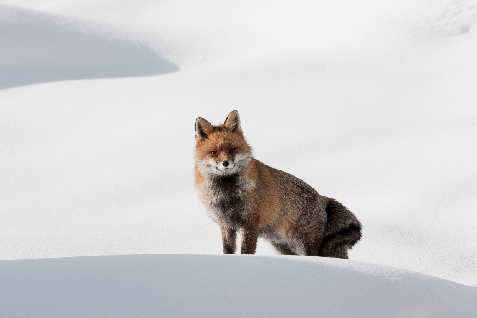 Cahier d'hiver