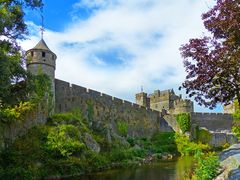 Cahir Castle