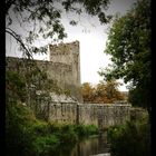 Cahir Castle