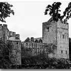 Cahir Castle sw