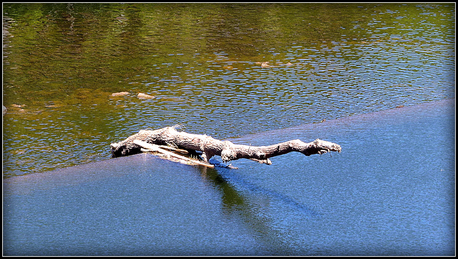 Cahors - 11 - Nessi 