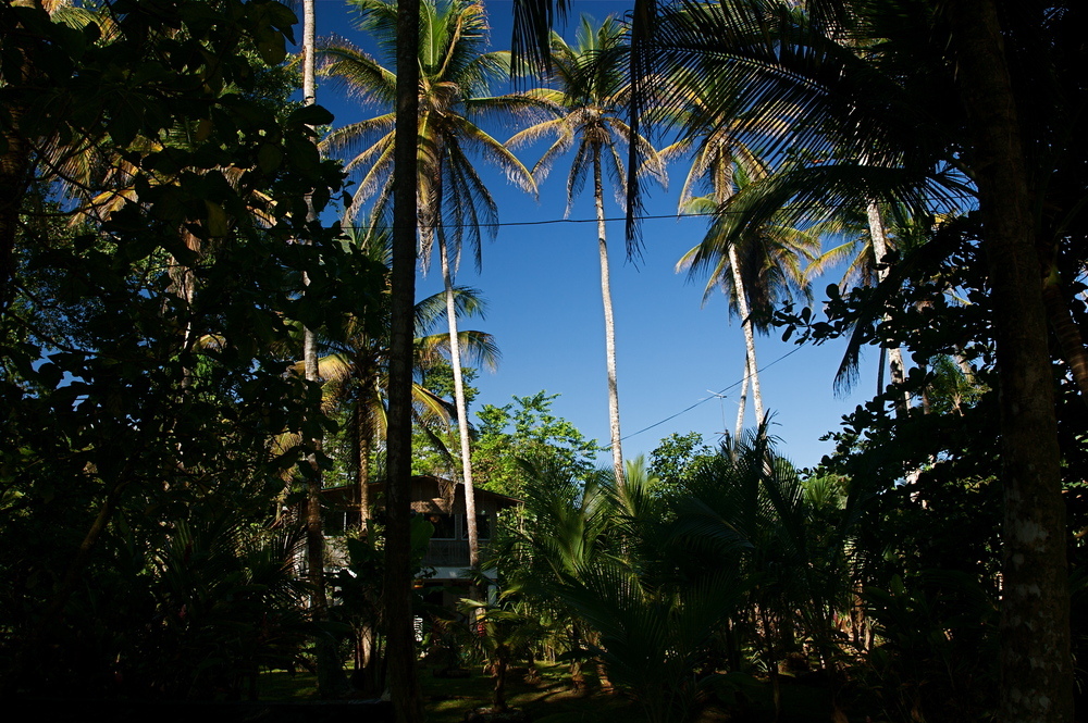 Cahuita  Costa Rica