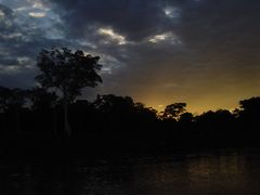 Caída de la Noche en el Amazonas