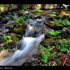 Caída del agua de Cercedilla(Para INAKI MATURANA)