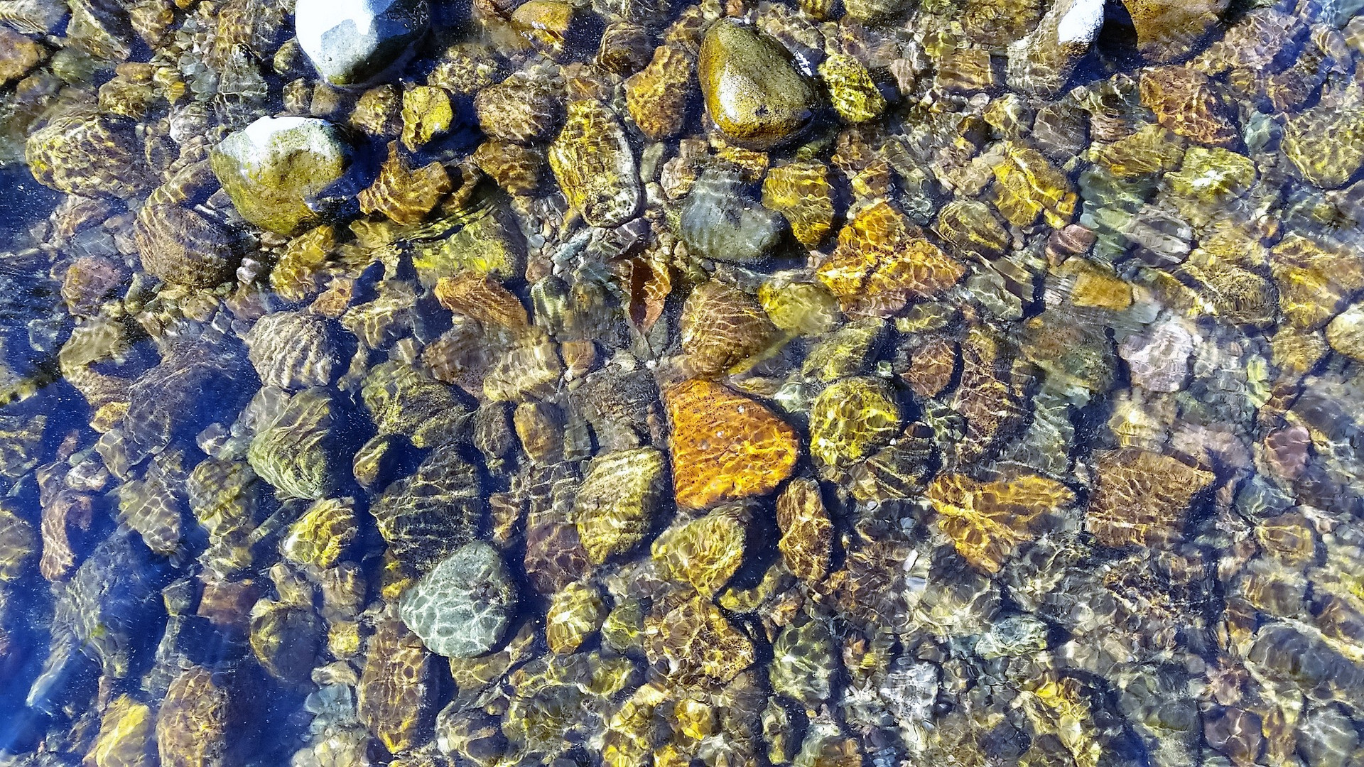 Cailloux au fond de la rivière et leurs reflets
