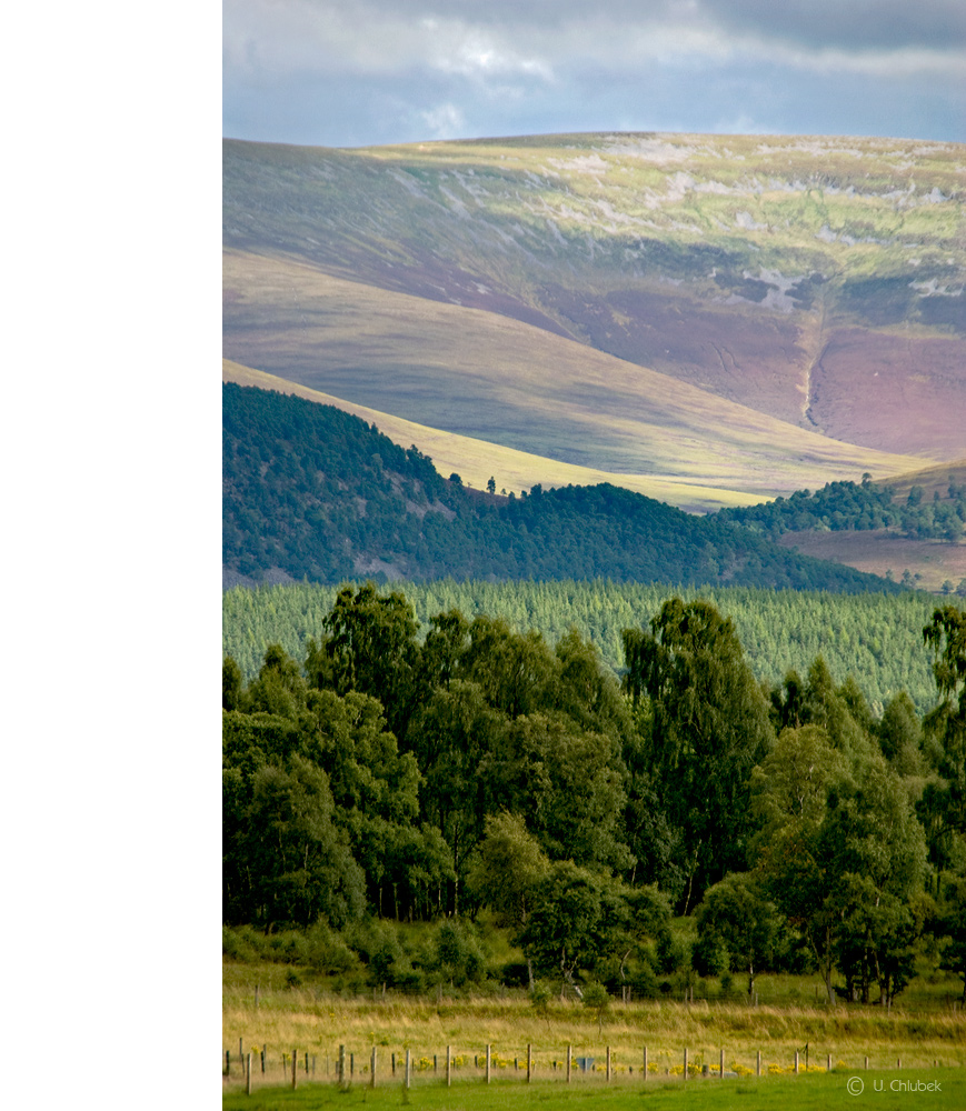 cairngorm mountains NP #3