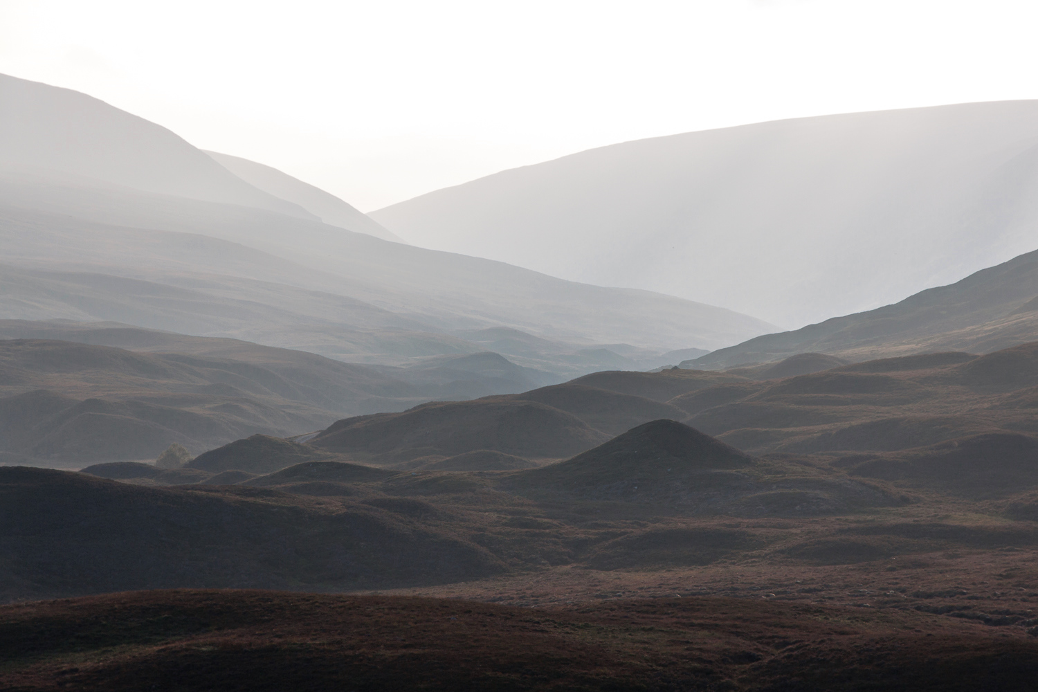 [Cairngorms]