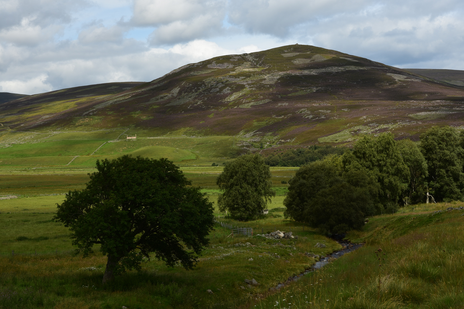 Cairngorms Impression