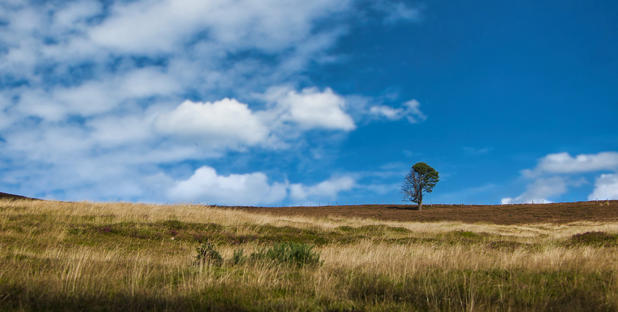 Cairngorms NP_MG_9400