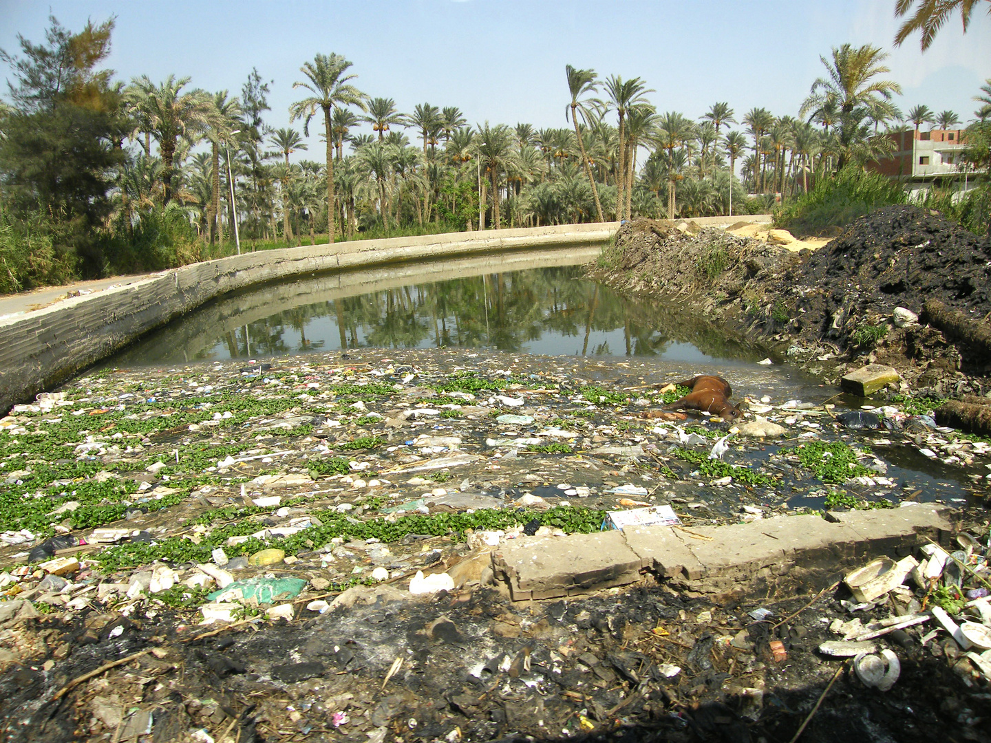 Cairo - eine Megastadt ohne umfassende Müllentsorgung