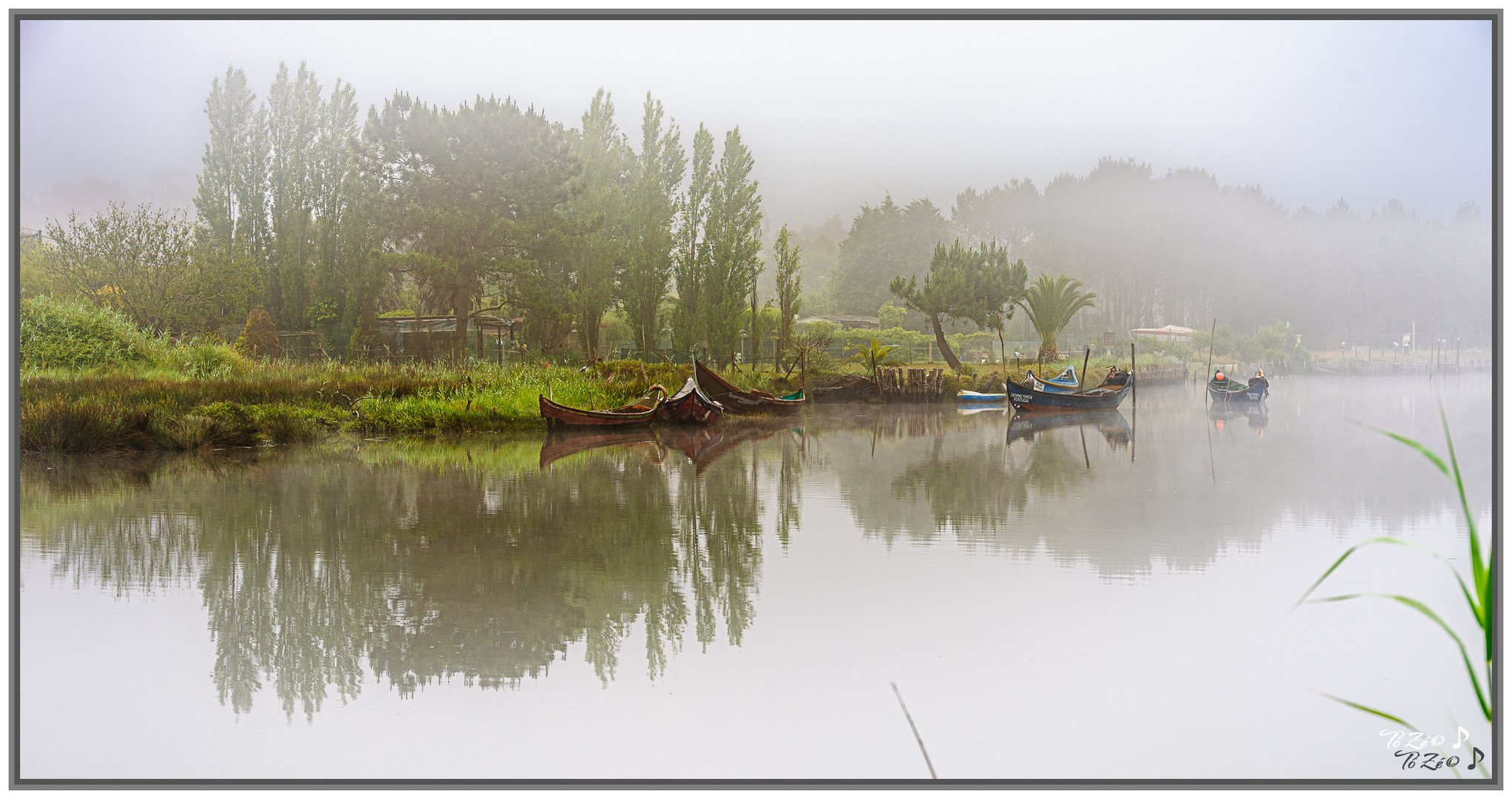 CAIS DO CARREGAL_310525_Z63_3387