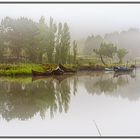 CAIS DO CARREGAL_310525_Z63_3387