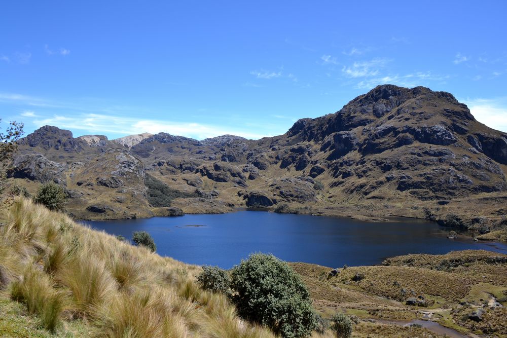 Cajas-Nationalpark