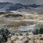 Cajas Nationapark