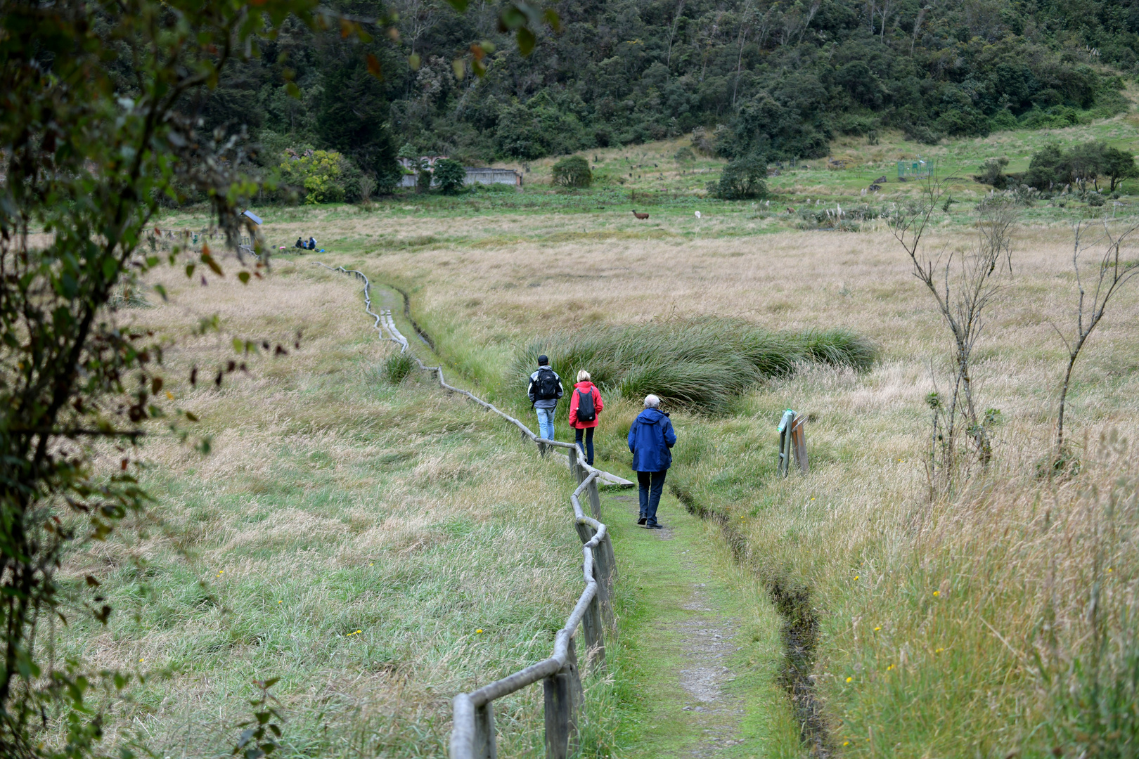 Cajas NP 2