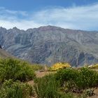 Cajón del Maipo