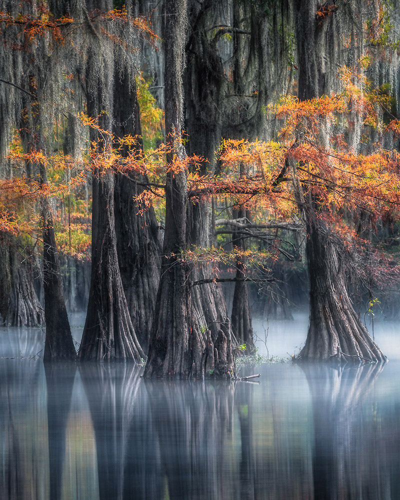 CAJUN AUTUMN