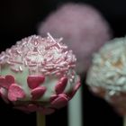 Cake-Pops II