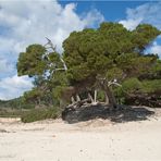 Cala Agulla ...