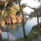 Cala dei setteponti (Maratea)