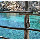 Cala Deia (20)