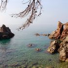 Cala d'es frares (Lloret de Mar)