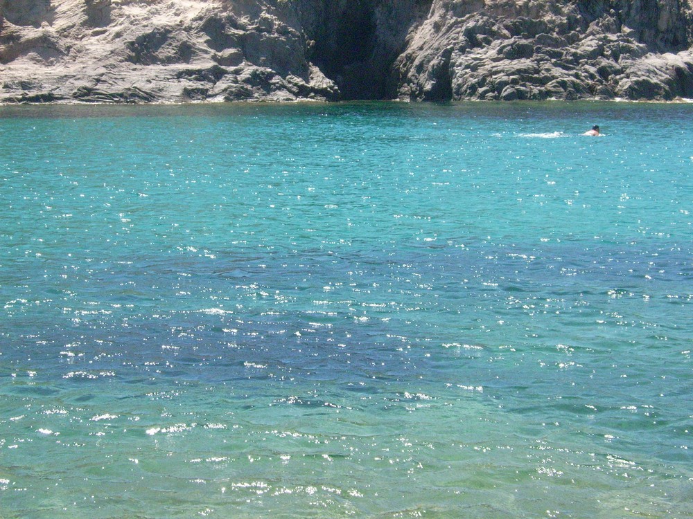 CALA DOMESTICA