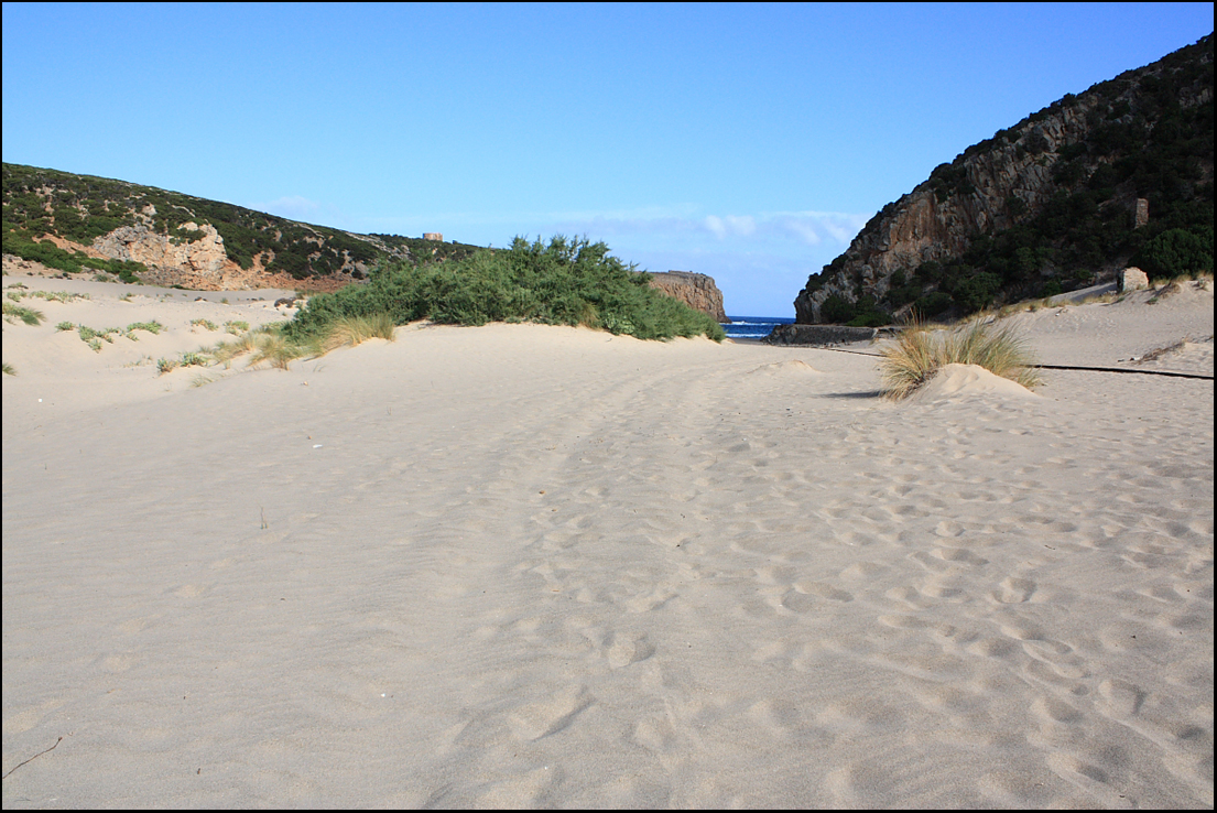 Cala Domestica