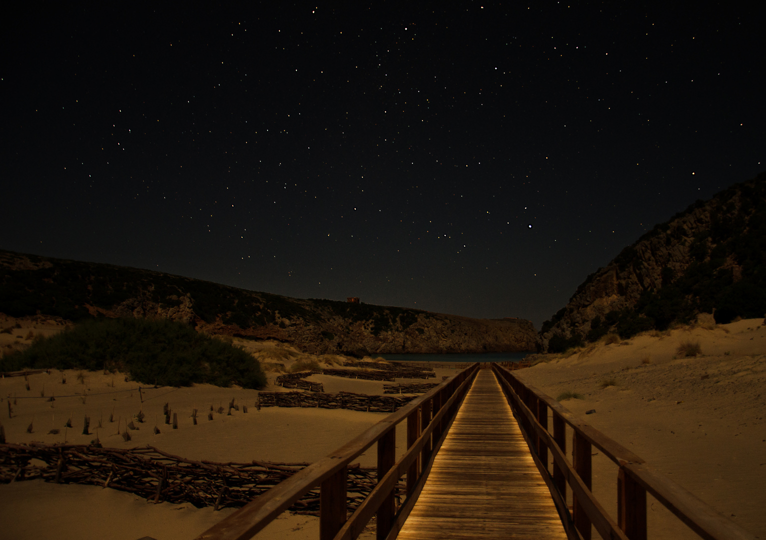 cala domestica by night