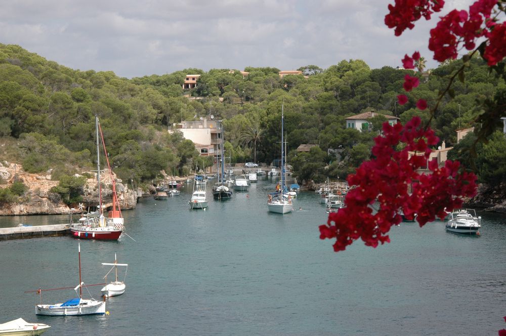 Cala d'Or