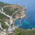 Cala en Basset (en Sa Trapa). Mallorca