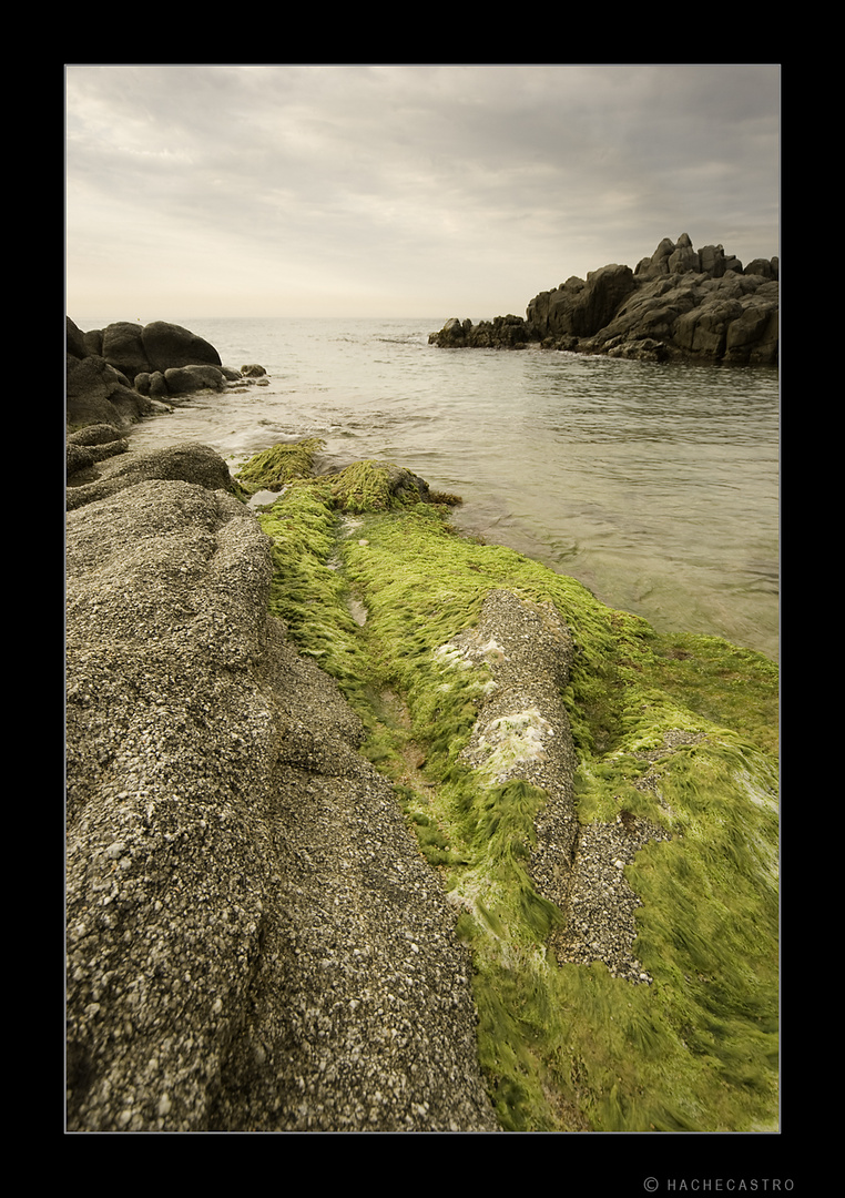 Cala en Blanes