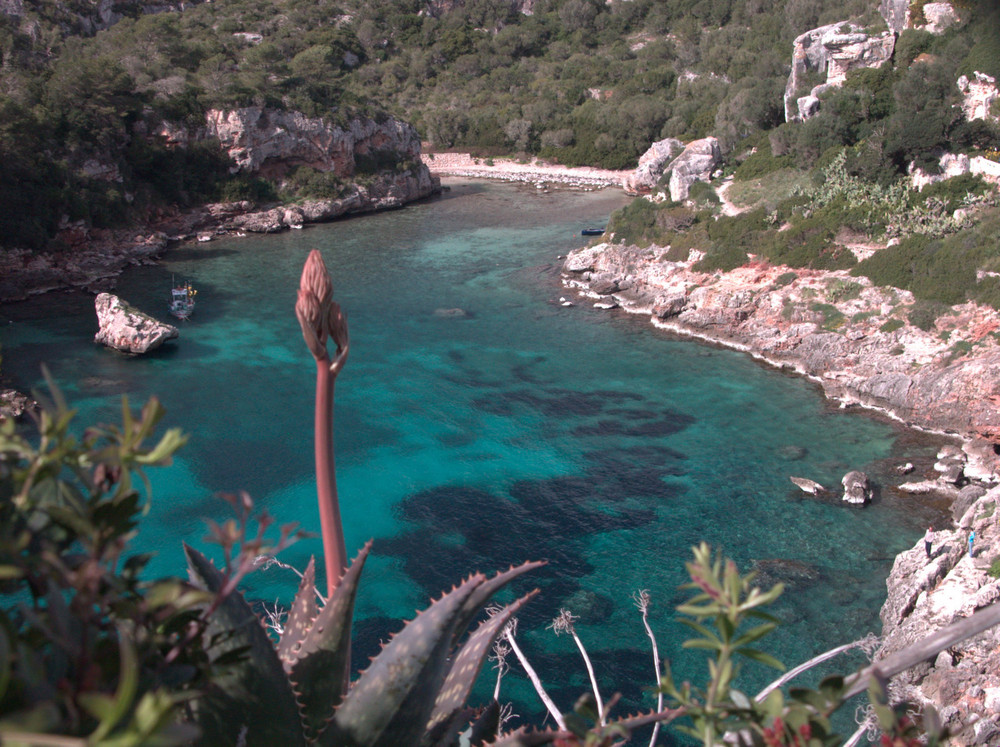 Cala en Menorca