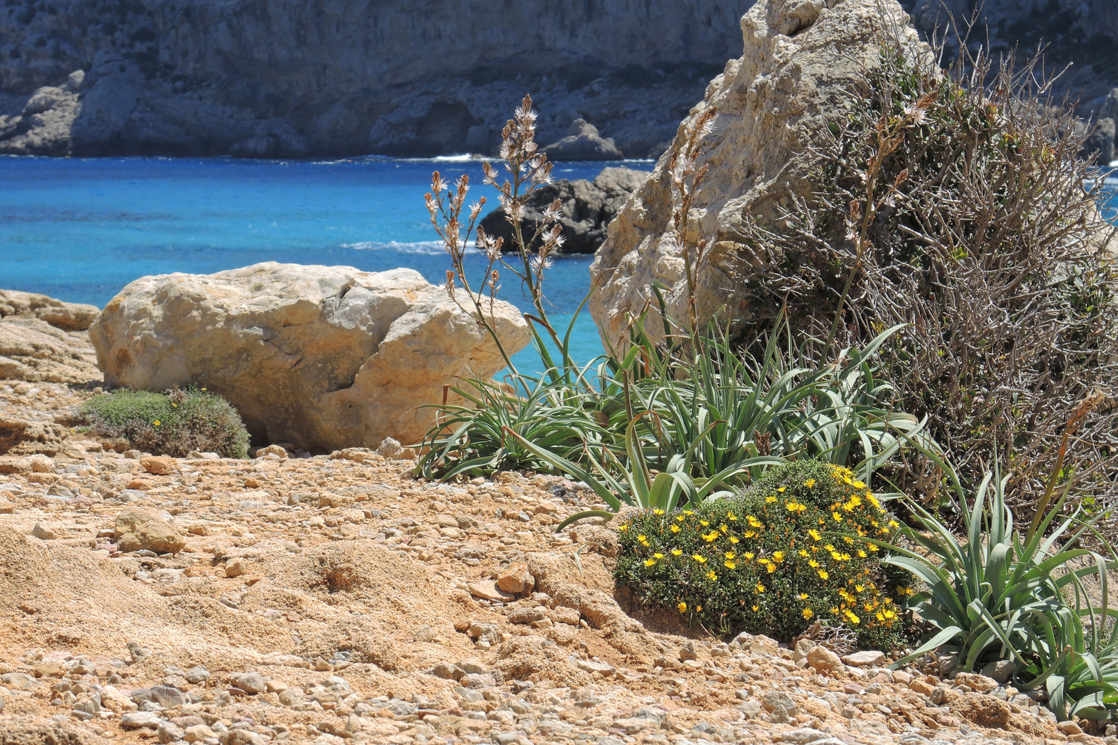 Cala Figuera | Mallorca