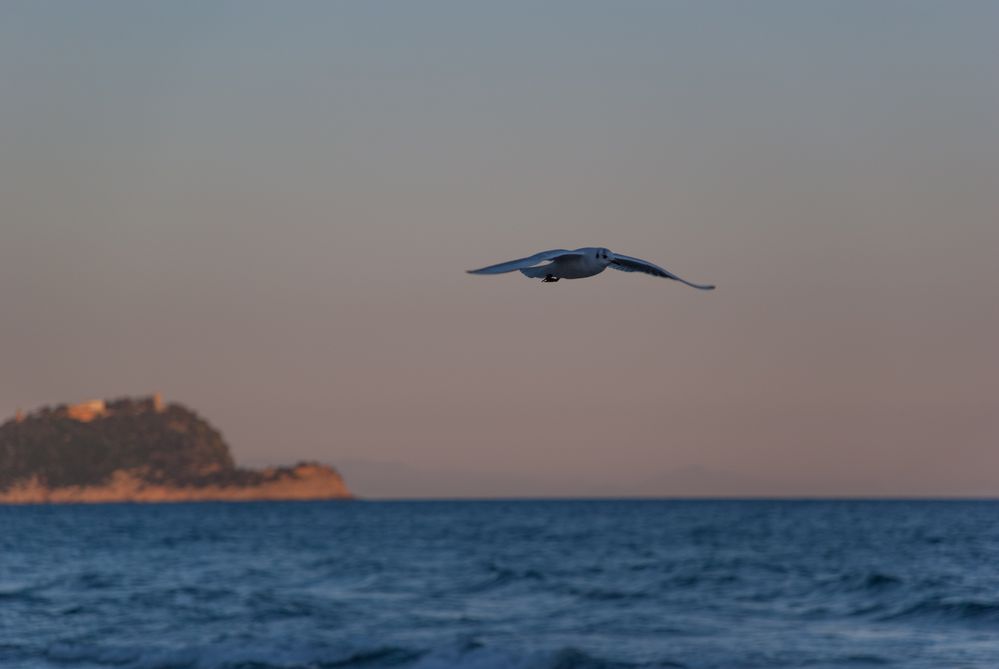 Cala il sole ad Alassio