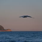 Cala il sole ad Alassio