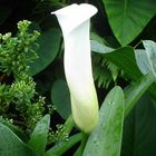 Cala Lilly - Still not opened. With a nice backdrop