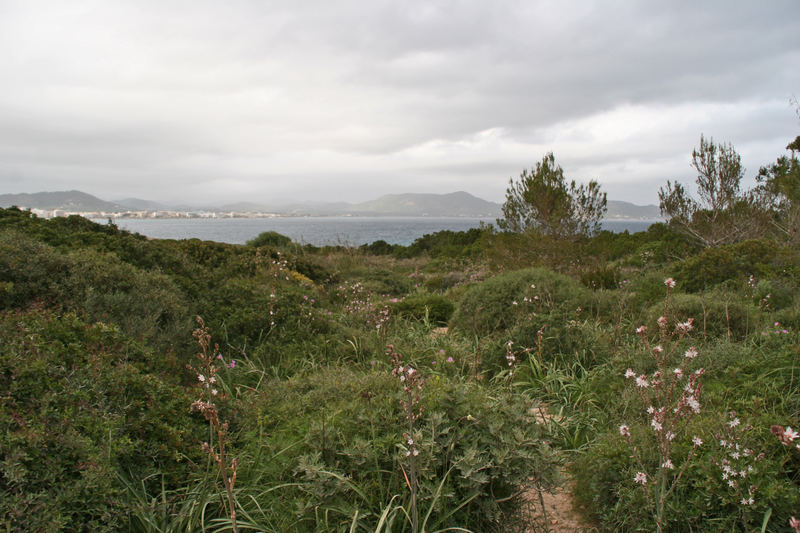 Cala Millor - liegt gleich nebenan